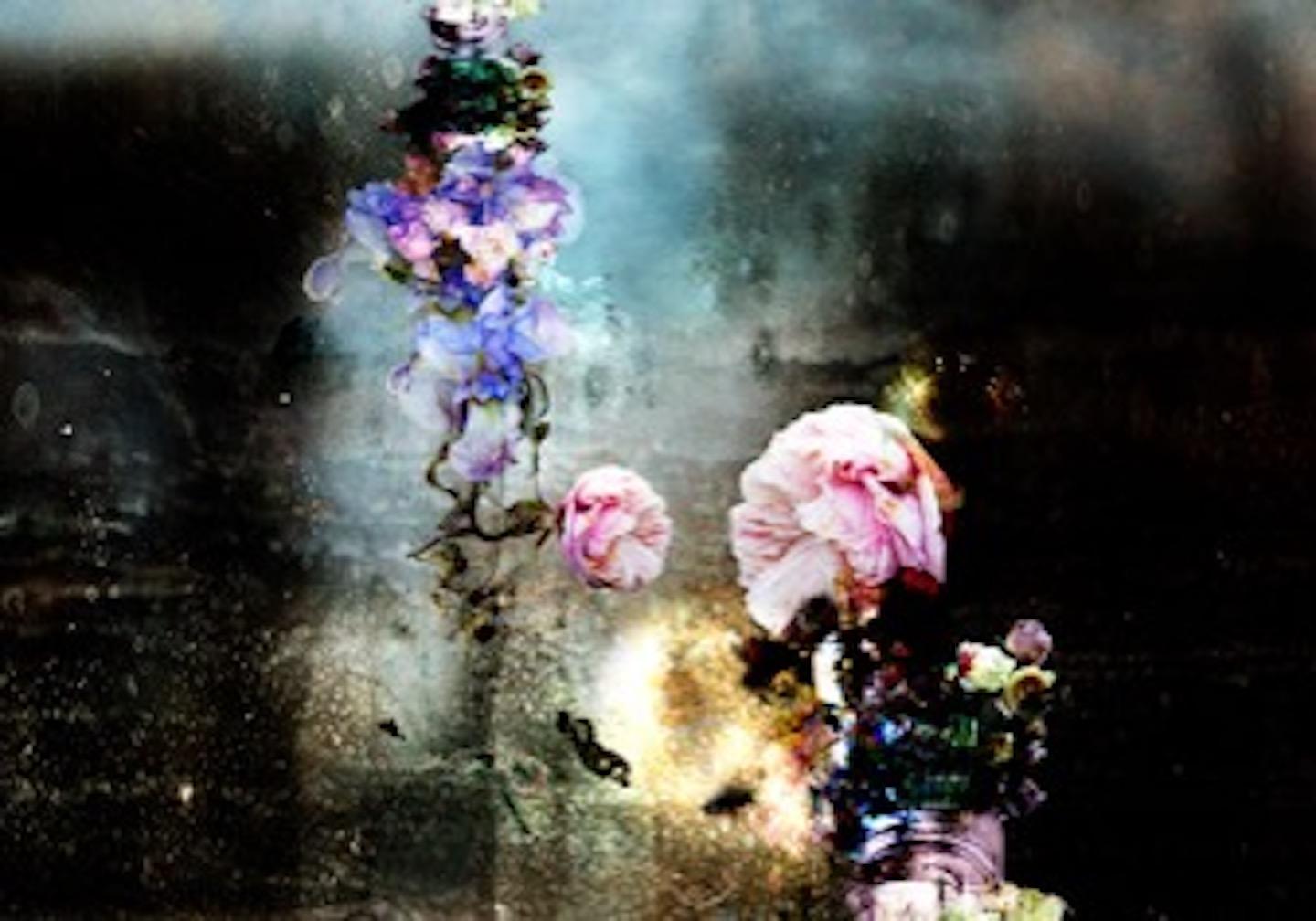 Isabelle Menin Color Photograph – Konversation # 8  Abstrakte schwarz-rosa-blaue Stillleben-Fotografie mit Blumenrahmen