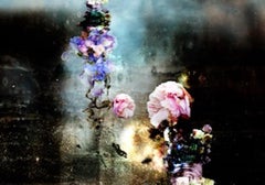 Conversation # 8  abstract black pink blue still life floral photograph