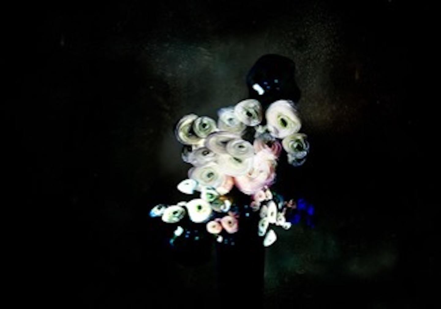 Isabelle Menin Color Photograph – Konversation # 9  Abstraktes Schwarz-Rosa-Weiß-Stillleben mit Blumenrahmen