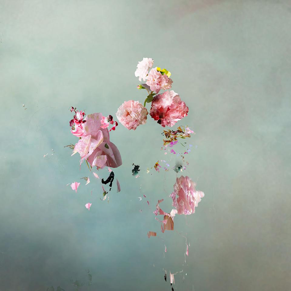 Isabelle Menin Color Photograph – Floating Angels # 2 Quadratische abstrakte florale Landschaft Foto Blau, Weiß, Rosa