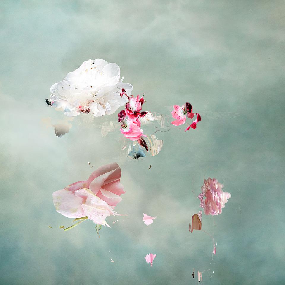 Isabelle Menin Color Photograph – Floating Angels # 3 Quadratische abstrakte florale Landschaft Foto Blau, Weiß, Rosa