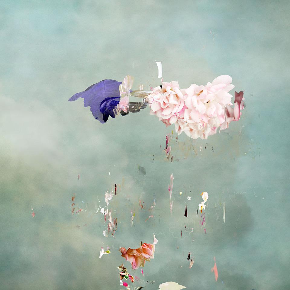 Isabelle Menin Color Photograph – Floating Angels # 7 Quadratische abstrakte florale Landschaft Foto Blau, Weiß, Rosa