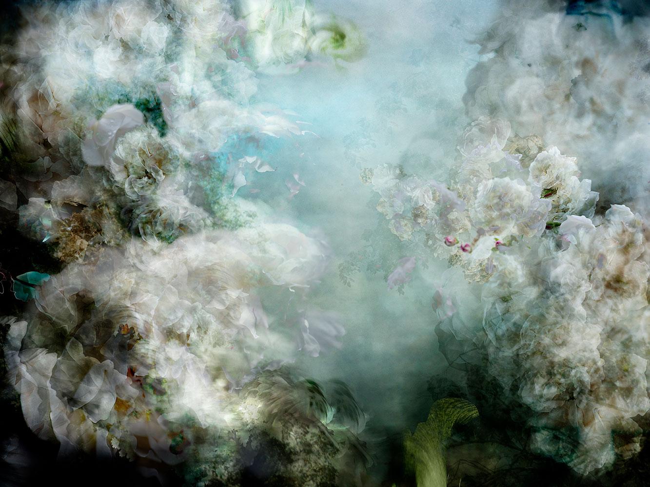 Horizon n° 16 - Photo horizontale de paysage floral abstrait noir, bleu, blanc