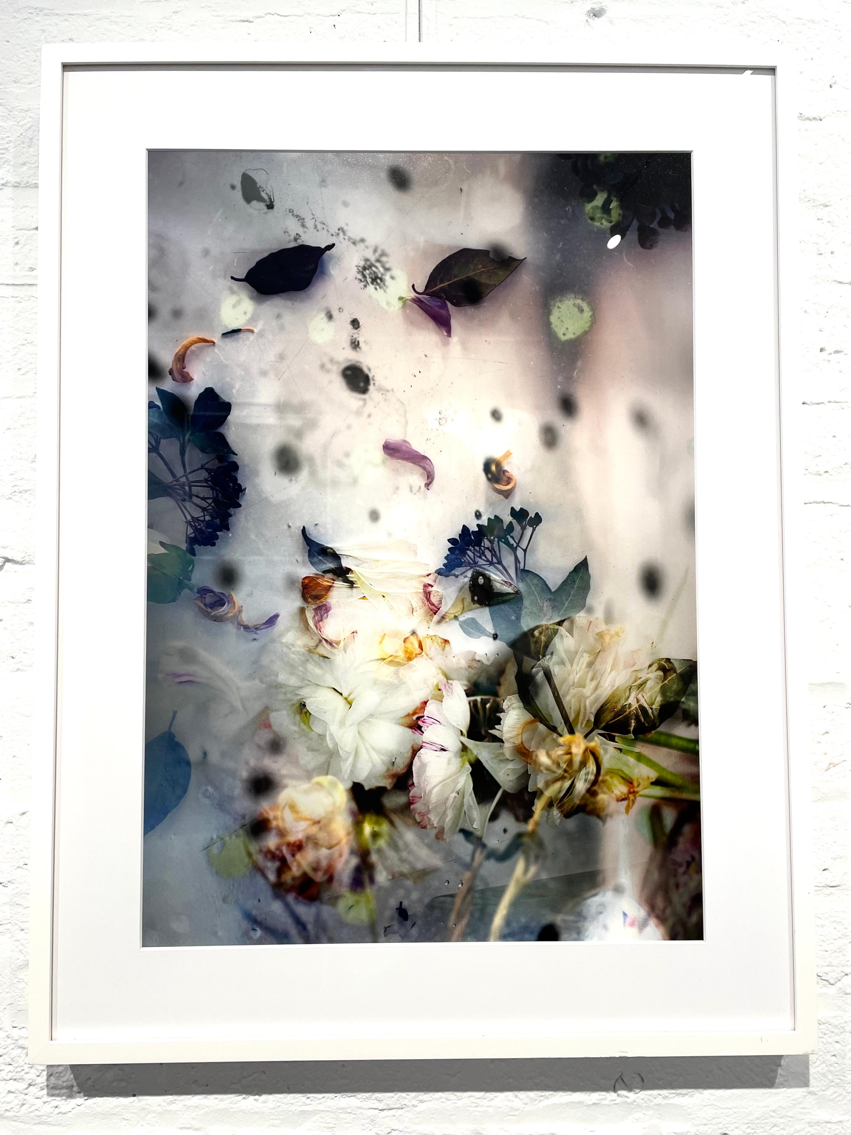 Petites Natures #17- abstract soft white purple yellow floral photo - Photograph by Isabelle Menin