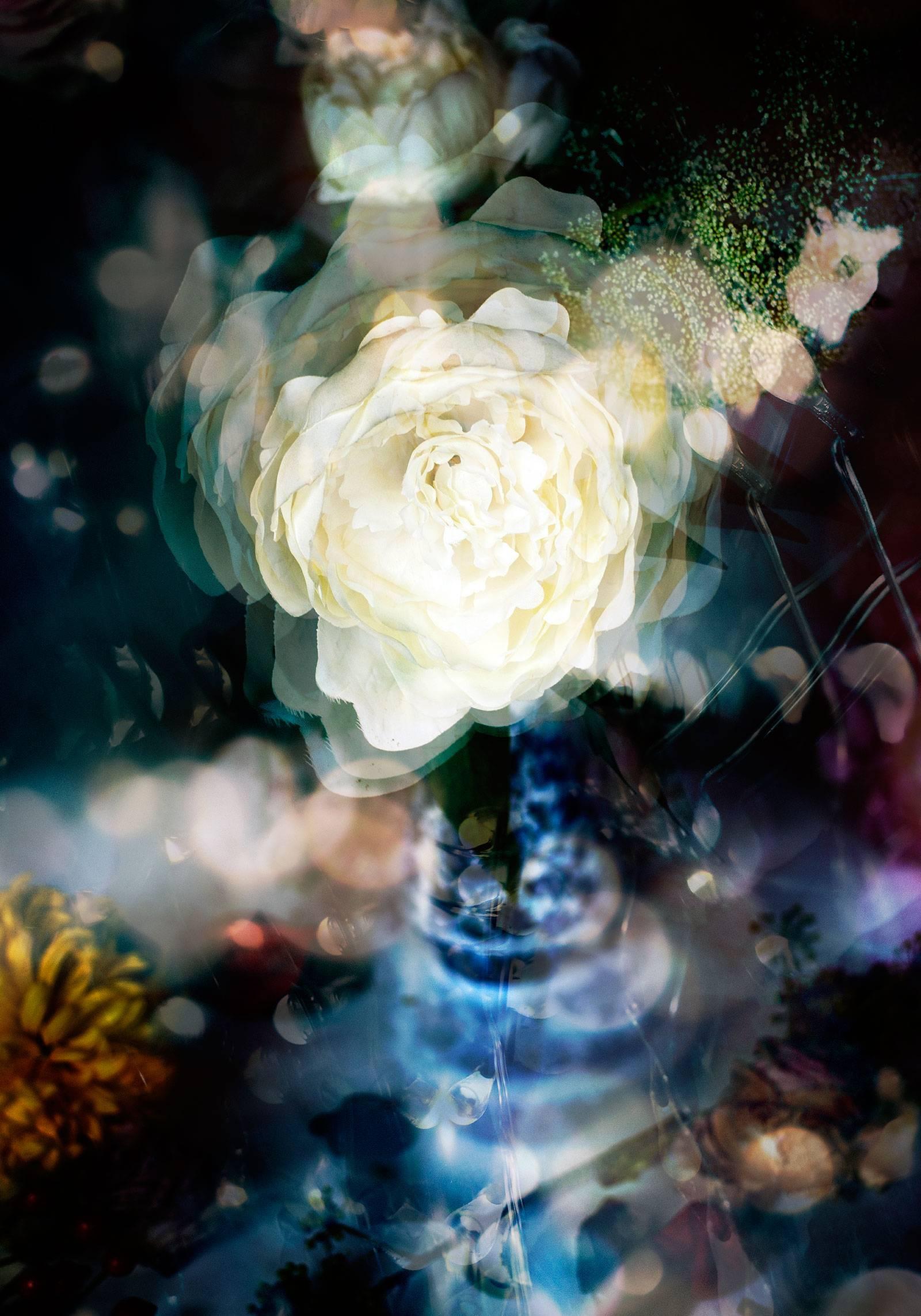 Still-Life Photograph Isabelle Menin - Petites Natures n° 23 - photo blanc vibrante abstraite contemporaine fleur de nature