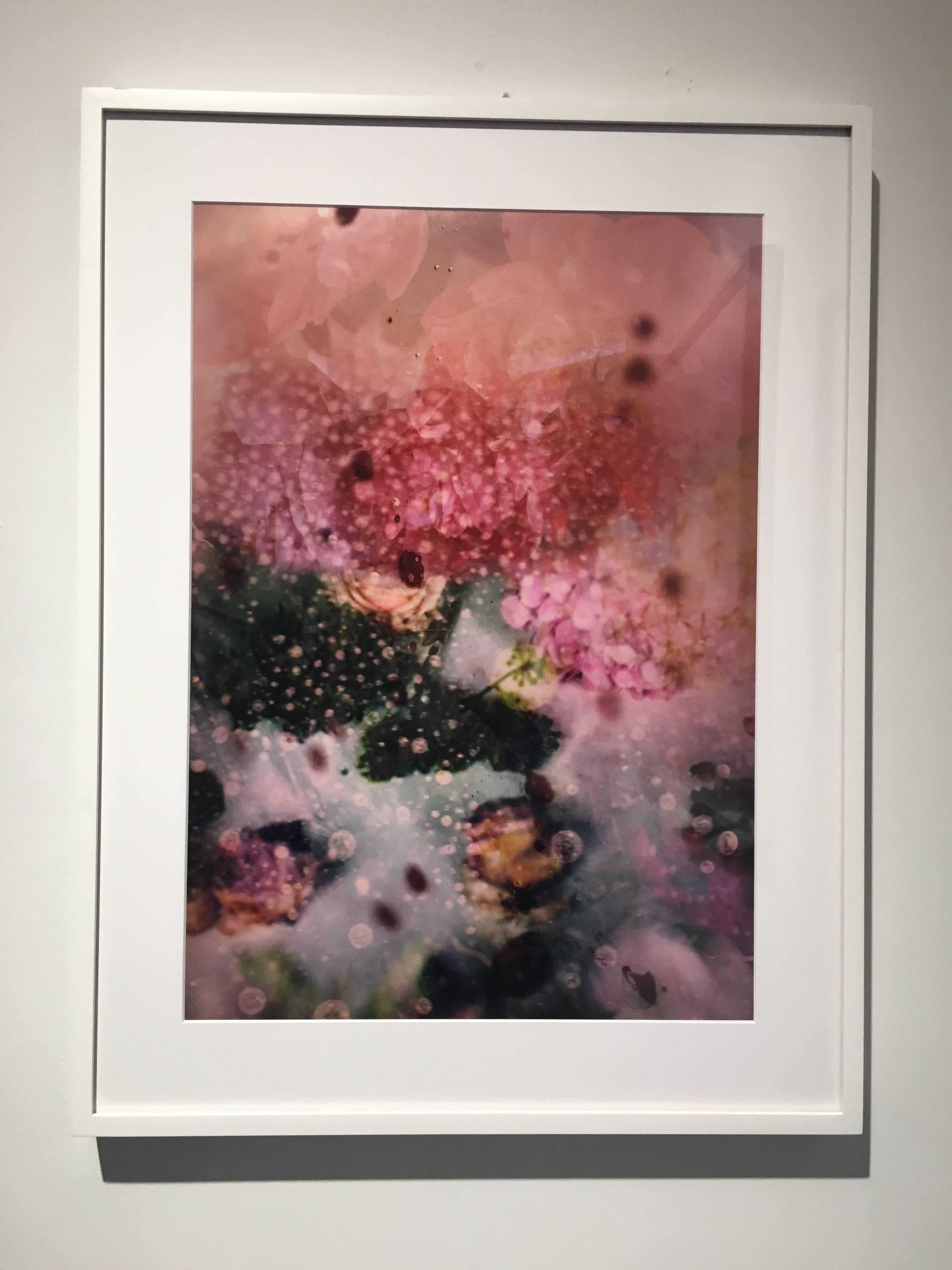 Petites Natures n°25 - photo de nature abstraite et vibrante rose avec fleurs contemporaines - Photograph de Isabelle Menin