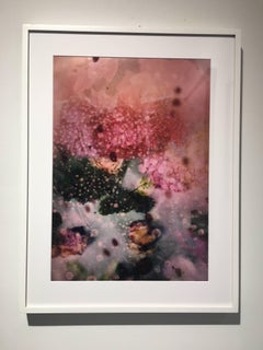 Petites Natures #25 - rosa astratto vibrante fiore contemporaneo natura foto
