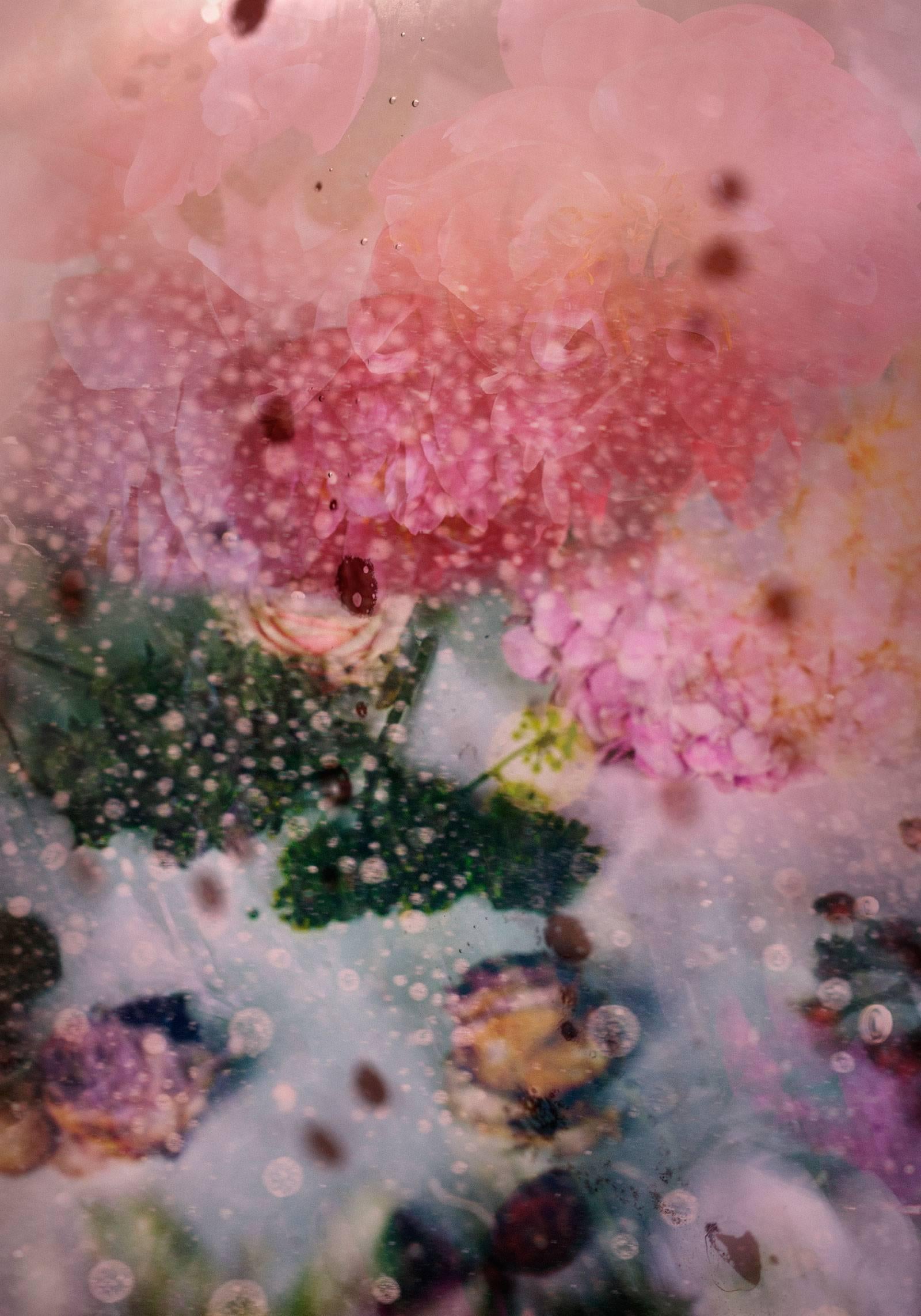 Still-Life Photograph Isabelle Menin - Petites Natures n°25 - photo de nature abstraite et vibrante rose avec fleurs contemporaines