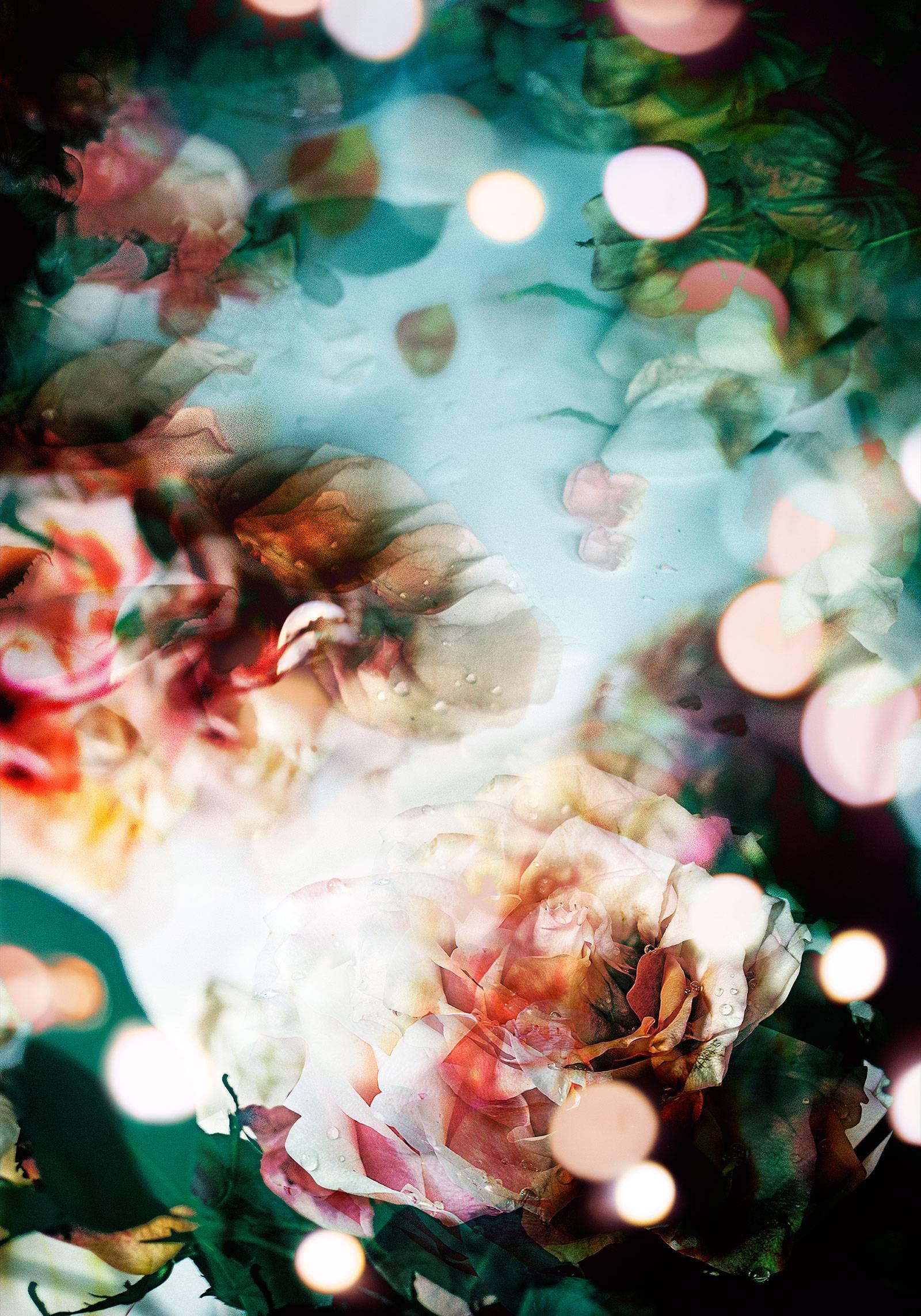 Isabelle Menin Still-Life Photograph – Das abstrakte, weiche blau-rosa-weiße Blumenfoto von Petites Natures #9