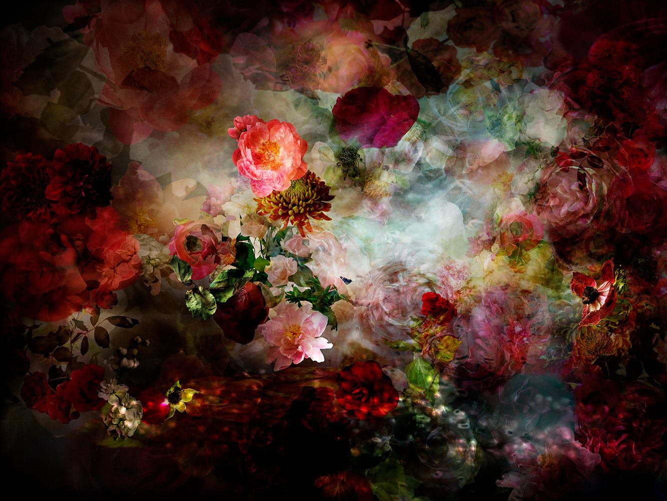 Still-Life Photograph Isabelle Menin - River 11 - Photographie contemporaine colorée de nature morte florale rouge foncé