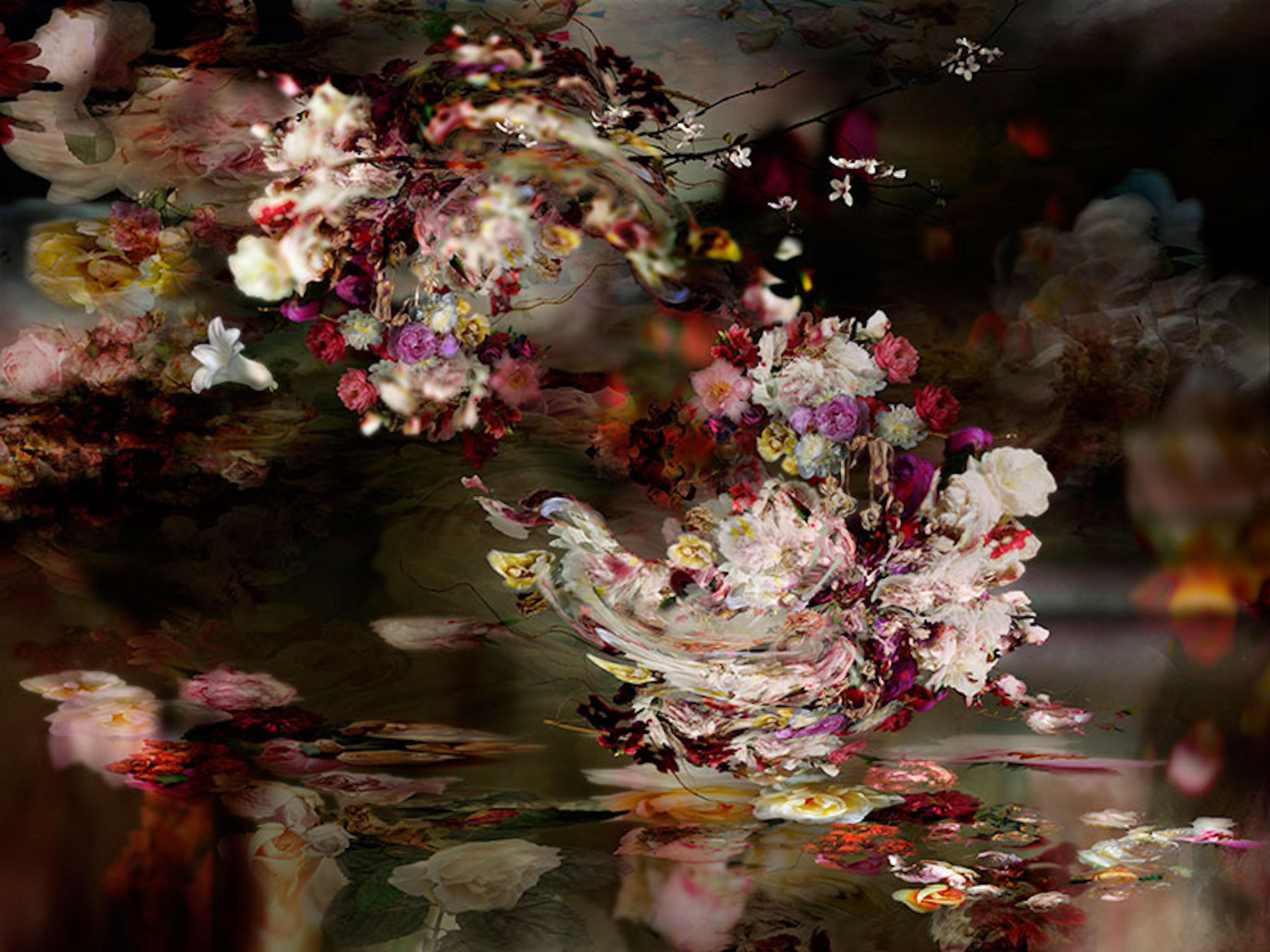 River 6 - Floral still life colorful dark white red contemporary photograph