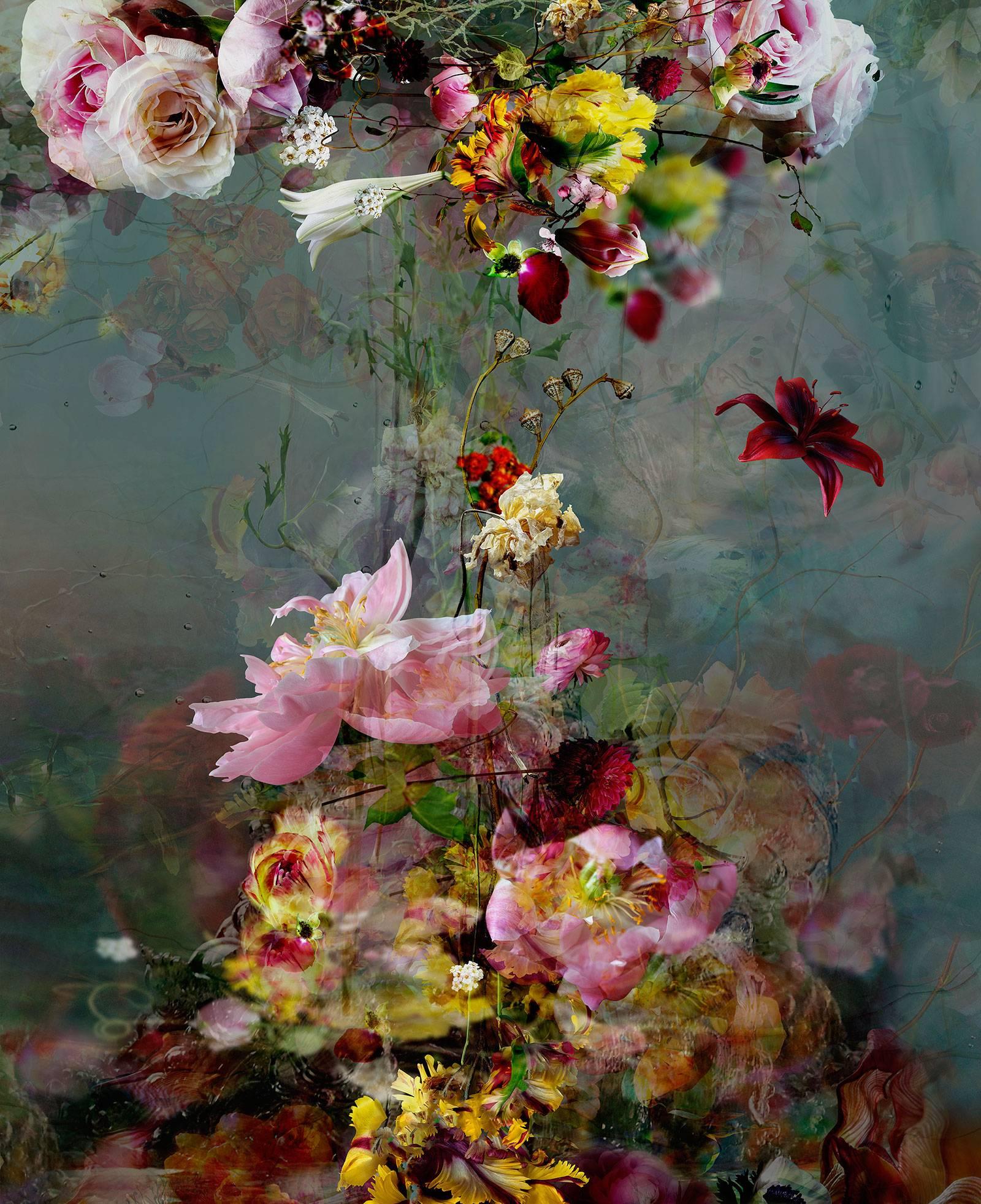 Isabelle Menin Still-Life Photograph - Sinking #2 - Floral abstract landscape colorful photograph