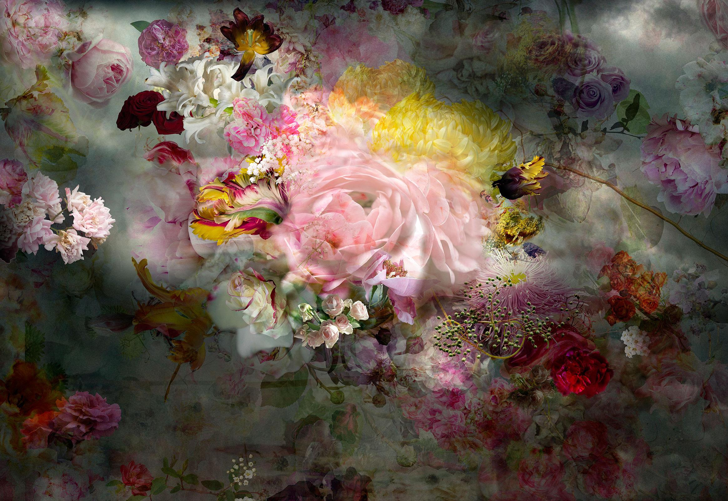 Still-Life Photograph Isabelle Menin - Solstice #10 - Photographie de paysage abstrait à fleurs - Nature morte contemporaine