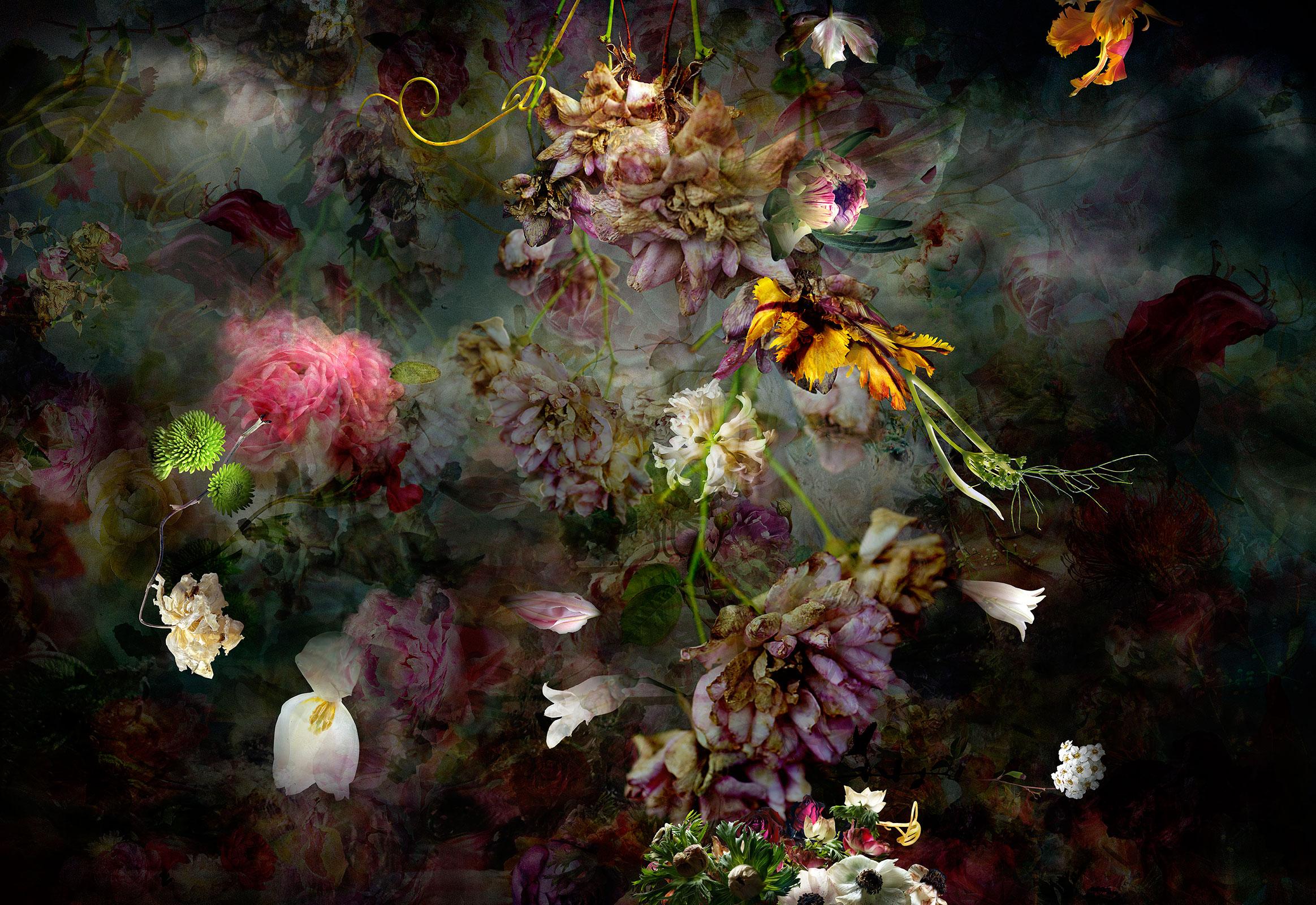 Isabelle Menin Still-Life Photograph - Solstice #3 - Floral still life abstract landscape contemporary photograph