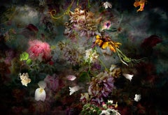 Solstice #3 - Floral still life abstract landscape contemporary photograph