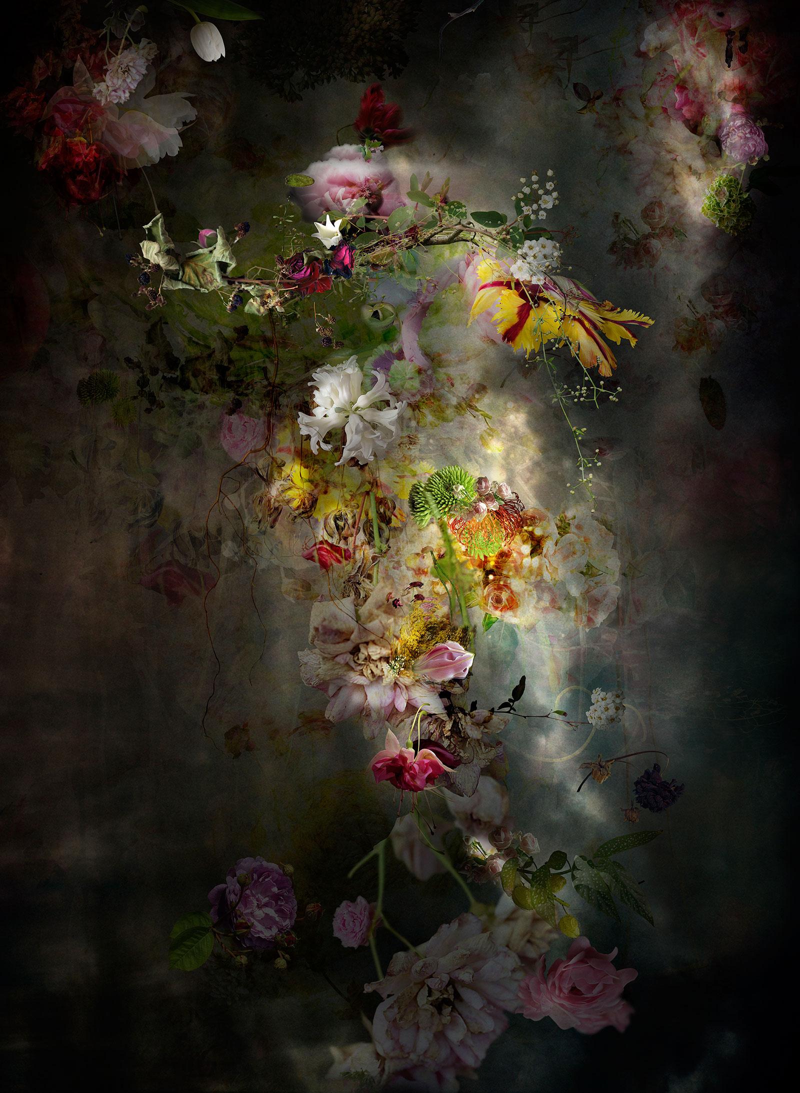 Still-Life Photograph Isabelle Menin - Solstice #7 - Photographie contemporaine de paysage abstrait et foncé à fleurs verticales