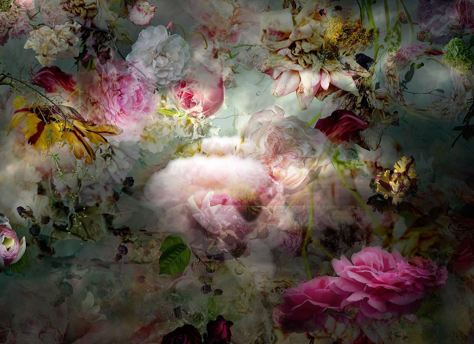 Isabelle Menin Still-Life Photograph - Solstice #8 - Floral still life abstract landscape contemporary photograph