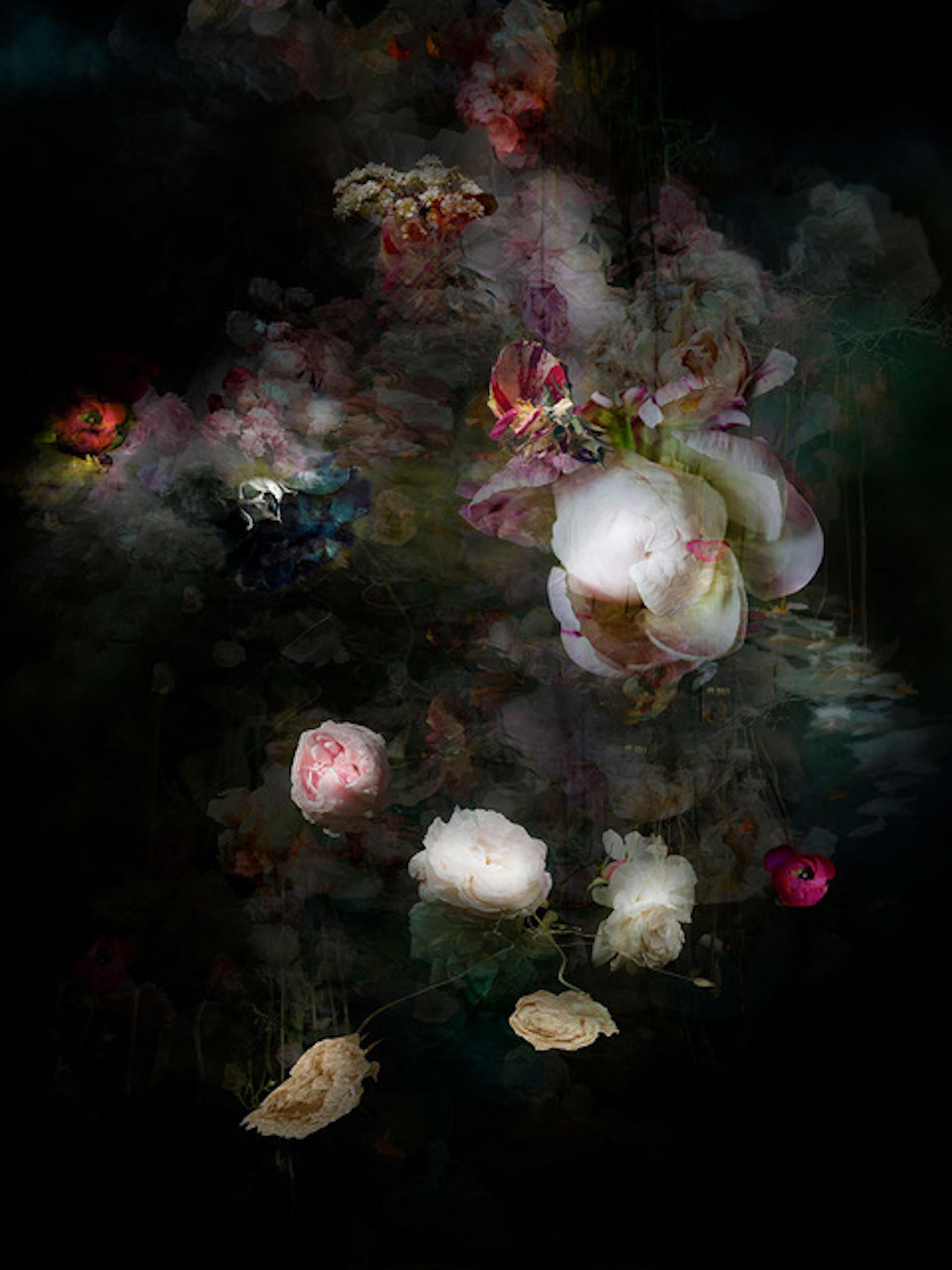 Color Photograph de Isabelle Menin - Canción para los héroes muertos # 10 foto abstracta vertical en blanco y negro de paisaje floral
