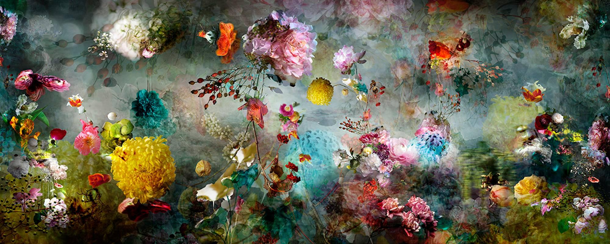 Isabelle Menin Color Photograph - Song  #12 colorful abstract floral landscape still life photo blue, pink, yellow