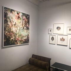 There's a river in my head #1- Fotografia contemporanea di still life floreale