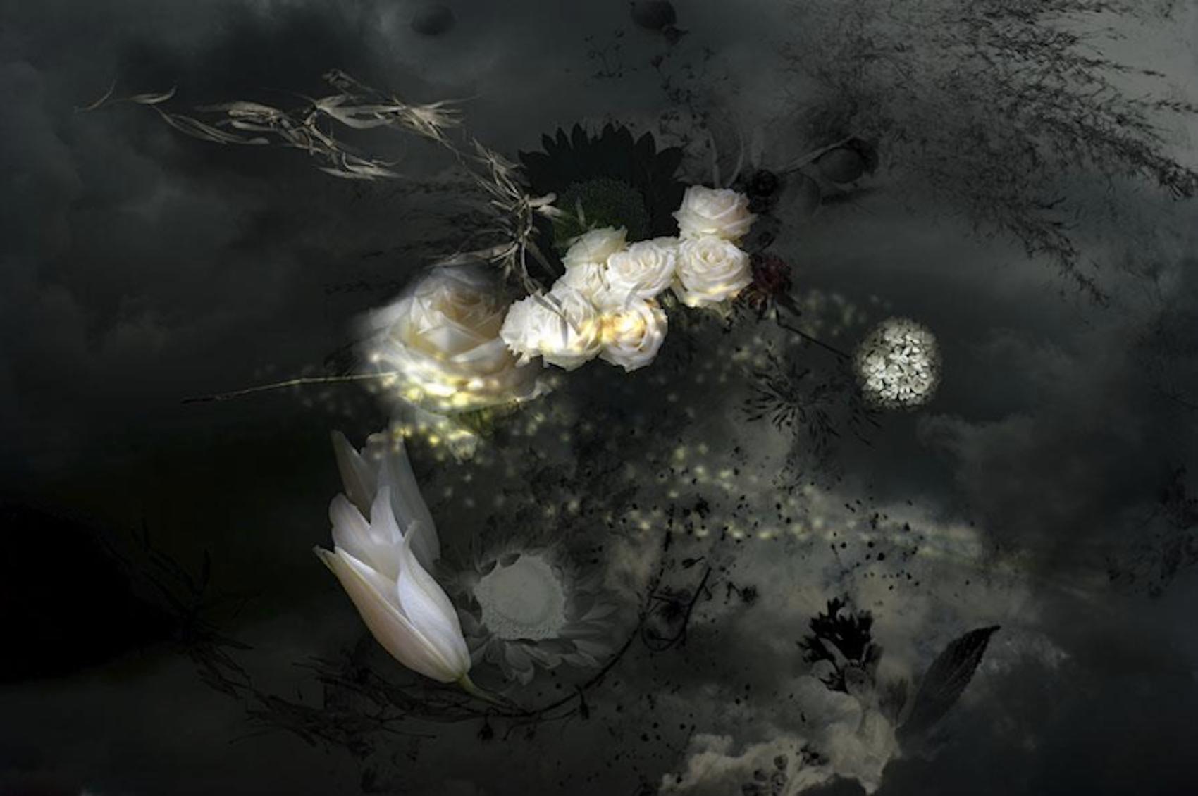Still-Life Photograph di Isabelle Menin - Ulalume #10 - Fotografia orizzontale floreale astratta scura di paesaggio contemporaneo