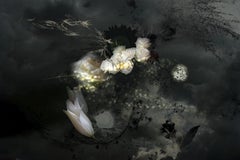 Ulalume #10 - Horizontal Floral dark abstract landscape contemporary photograph