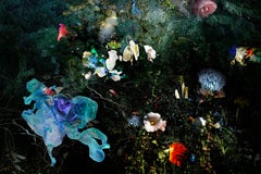 Underground n° 1  Nature morte abstraite noire, rouge, bleue et blanche - Photographie florale