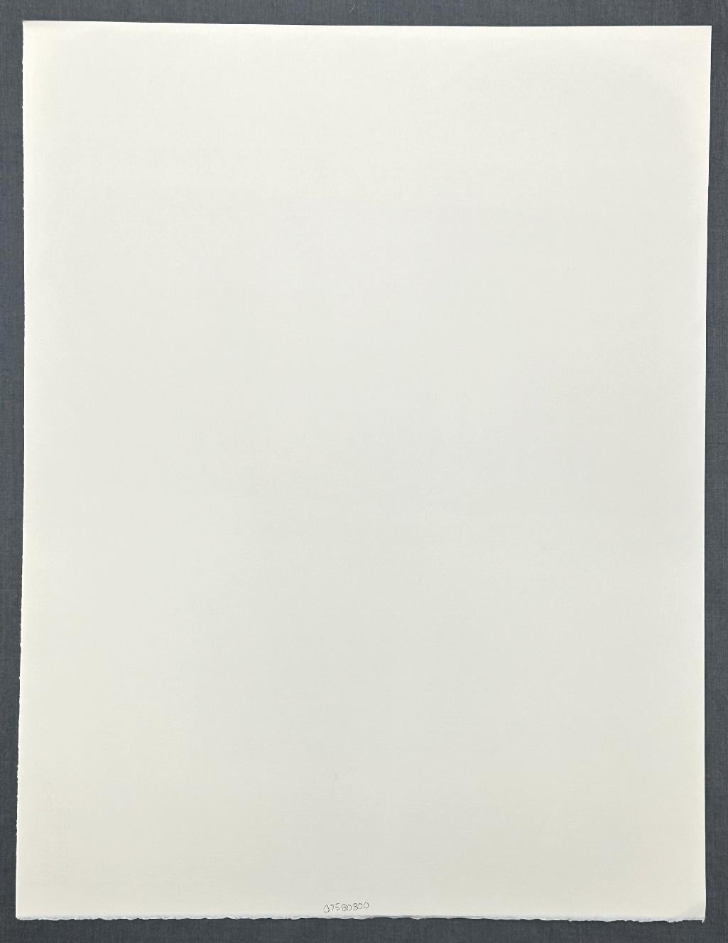 1998 Signed Limited Edition Lithograph Le Pont Alexandre III For Sale 1