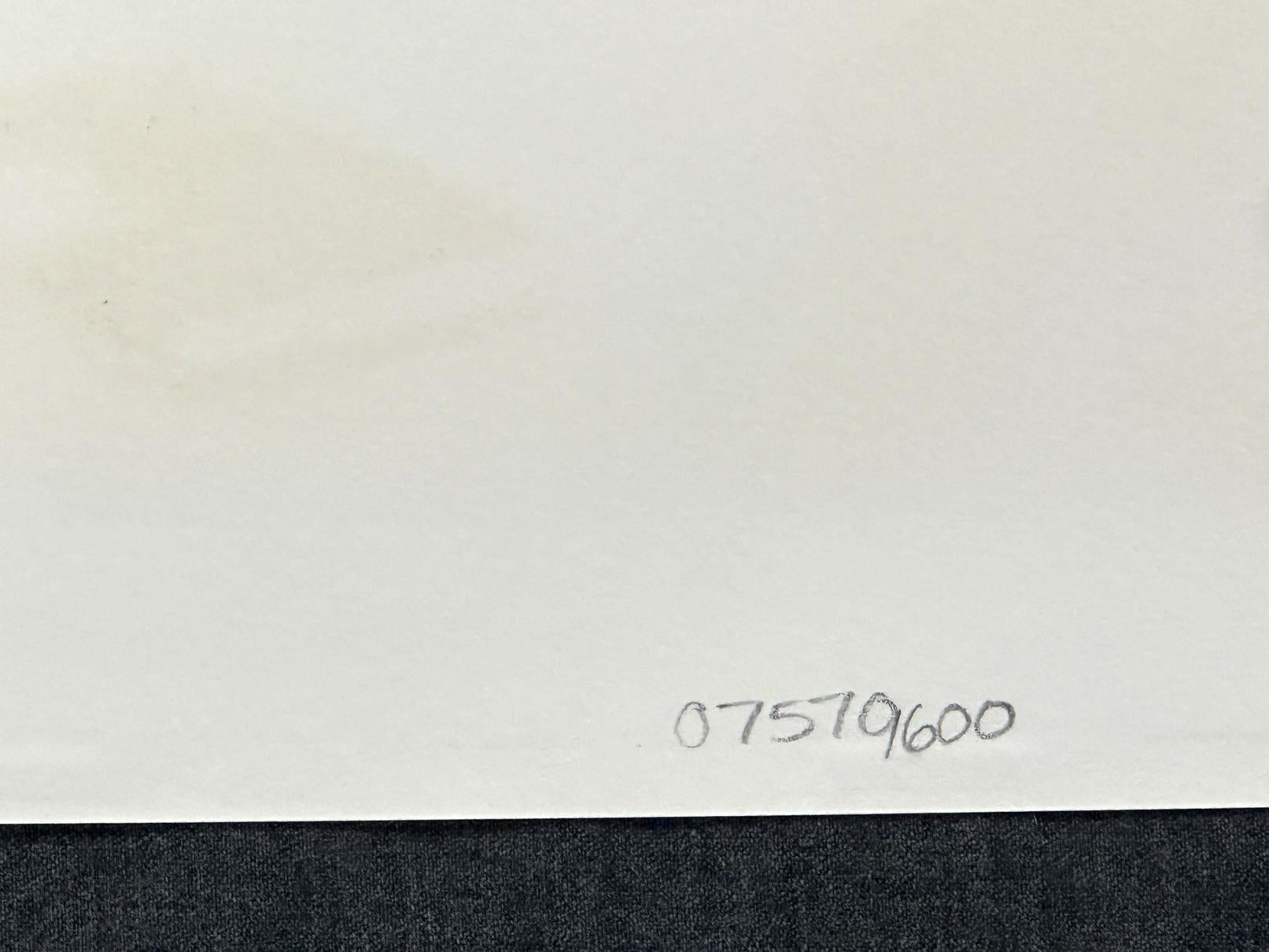 Le Cirque Magique 1998 Litografía firmada de edición limitada en venta 4