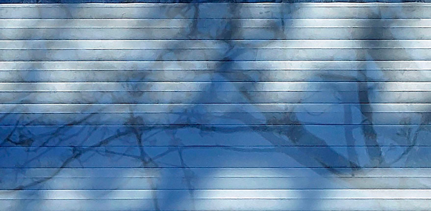 Ramificación, Arte fotográfico contemporáneo en resina, Ramas de árbol y sombras, Azul - Mixed Media Art Contemporáneo de Isabelle Schneider