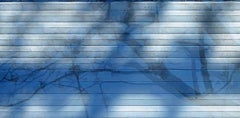Branch, arte fotografica contemporanea in resina, rami e ombre di alberi, blu