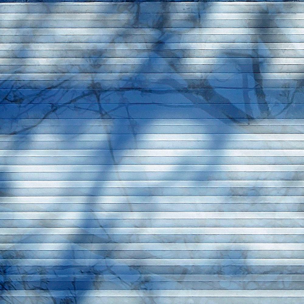 Ramificación, Arte fotográfico contemporáneo en resina, Ramas de árbol y sombras, Azul en venta 2