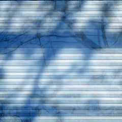 Branch, art photographique contemporain en résine, branches d'arbre et ombres, bleu