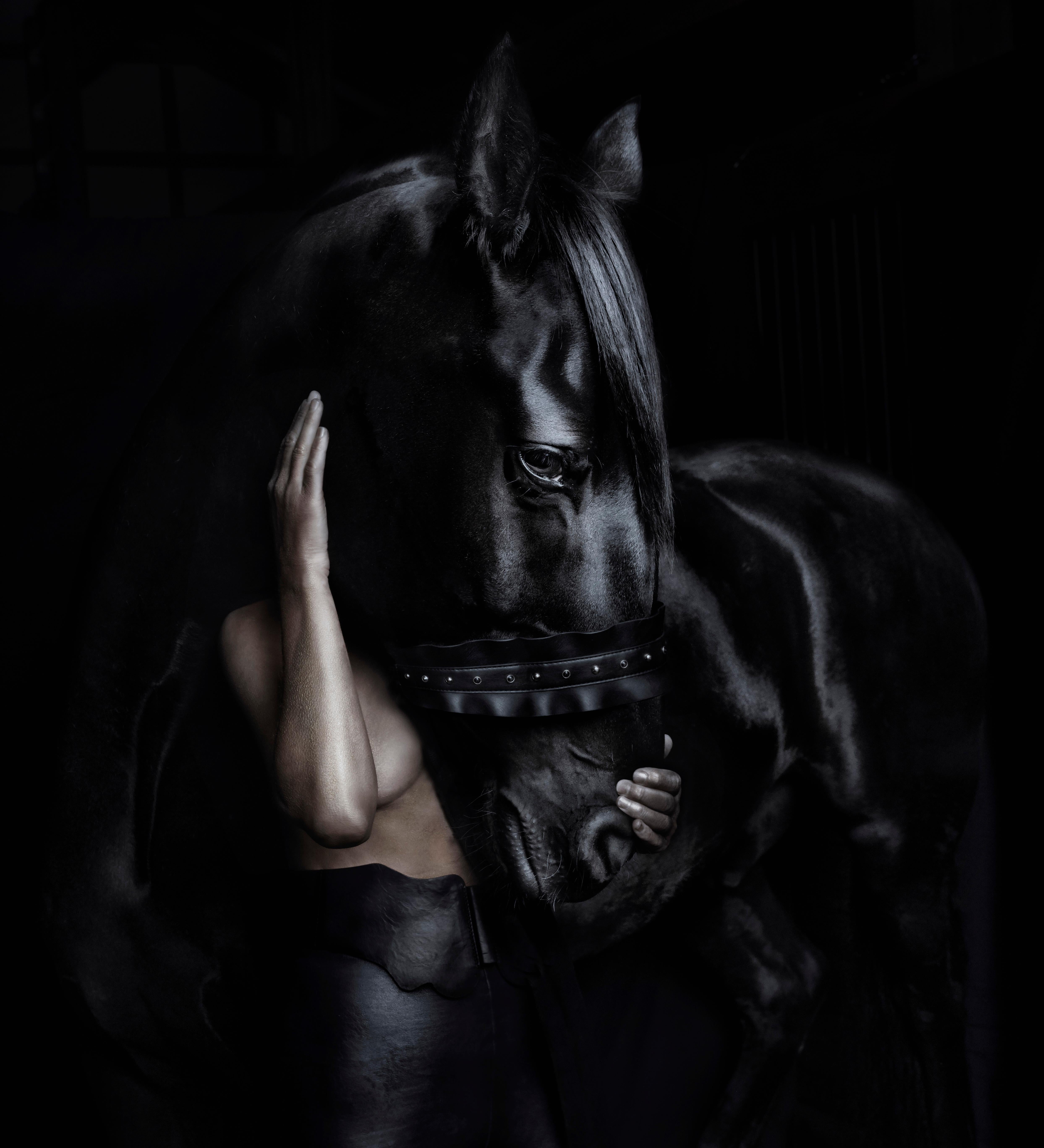 "THE MOONSHOT COLLECTION
Emerging from a long evolution stretching back nearly 50 million years comes the horse, a wild beauty, grazing peacefully on the plains, and then suddenly breaking free with snorting and fiery breath, swift as the wind. It