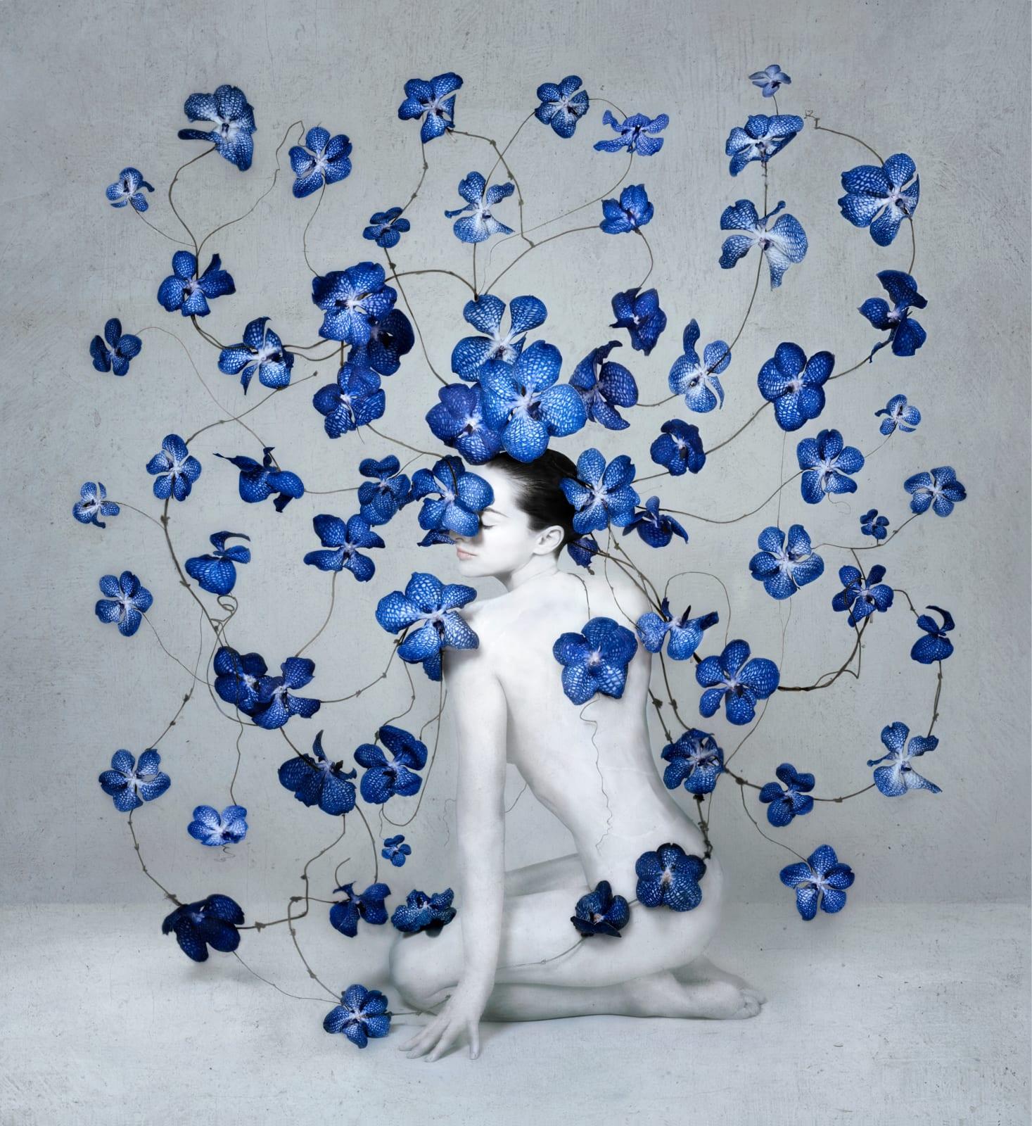 Serie: Blu profondo
C Stampa montata su superficie in Dibond Perspex
Edizione di 8 esemplari più 2 prove d'artista

Il blu è legato all'eternità, all'aldilà, alla bellezza soprannaturale e spesso è associato alla trascendenza. Il blu non ha