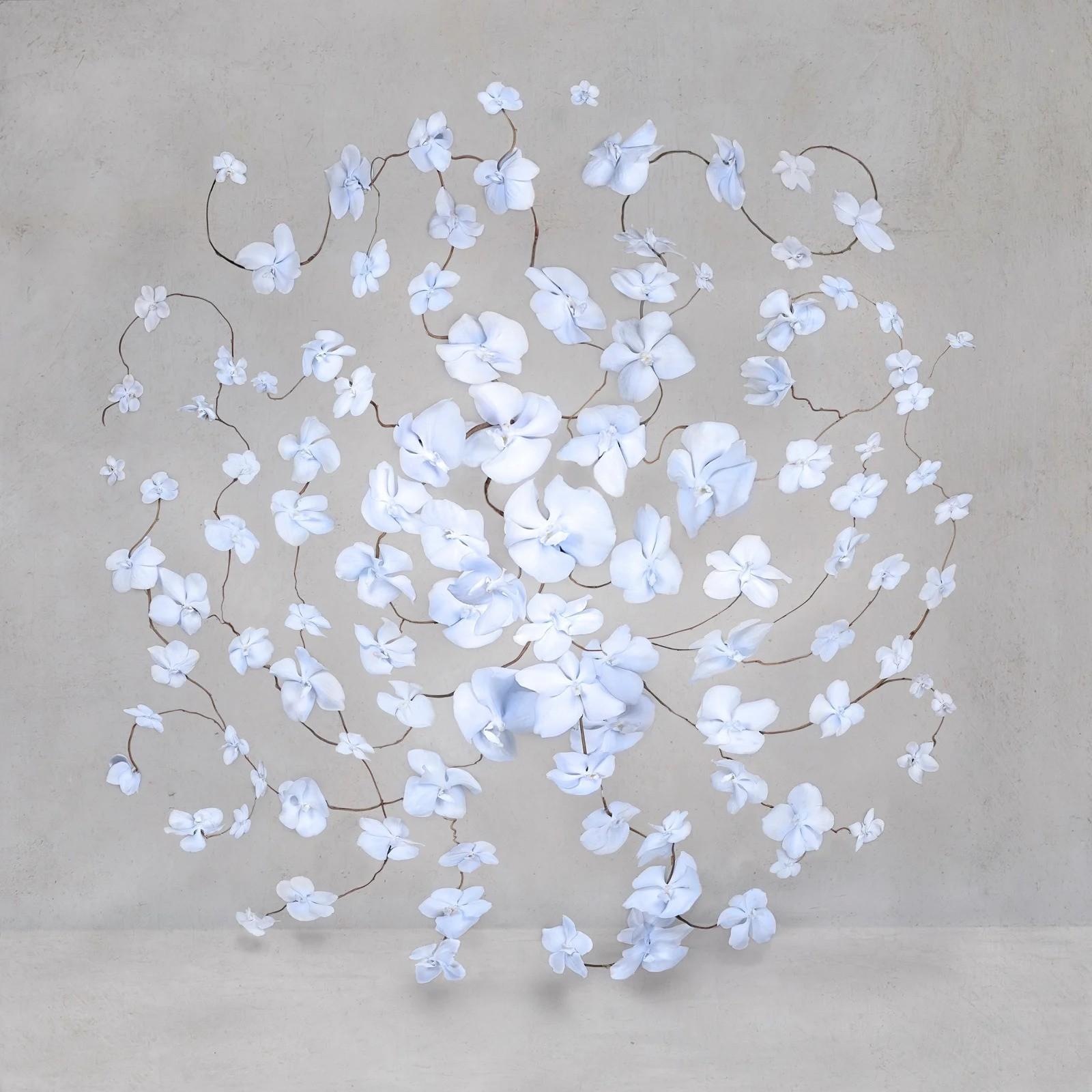 Isabelle Van Zeijl - Azul eléctrico, Fotografía 2024, Impreso después de