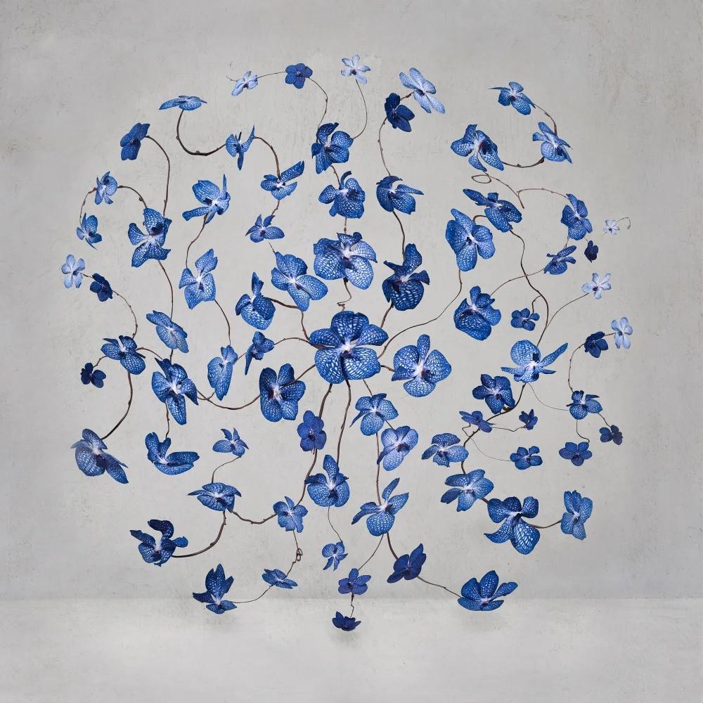 Serie: Tiefblau
C Druck auf Dibond-Plexiglasscheibe montiert
Auflage von 3

Blau wird mit der Ewigkeit, dem Jenseits, der übernatürlichen Schönheit und oft mit Transzendenz assoziiert. Blau hat keine Dimensionen, es geht über den Himmel und das Meer