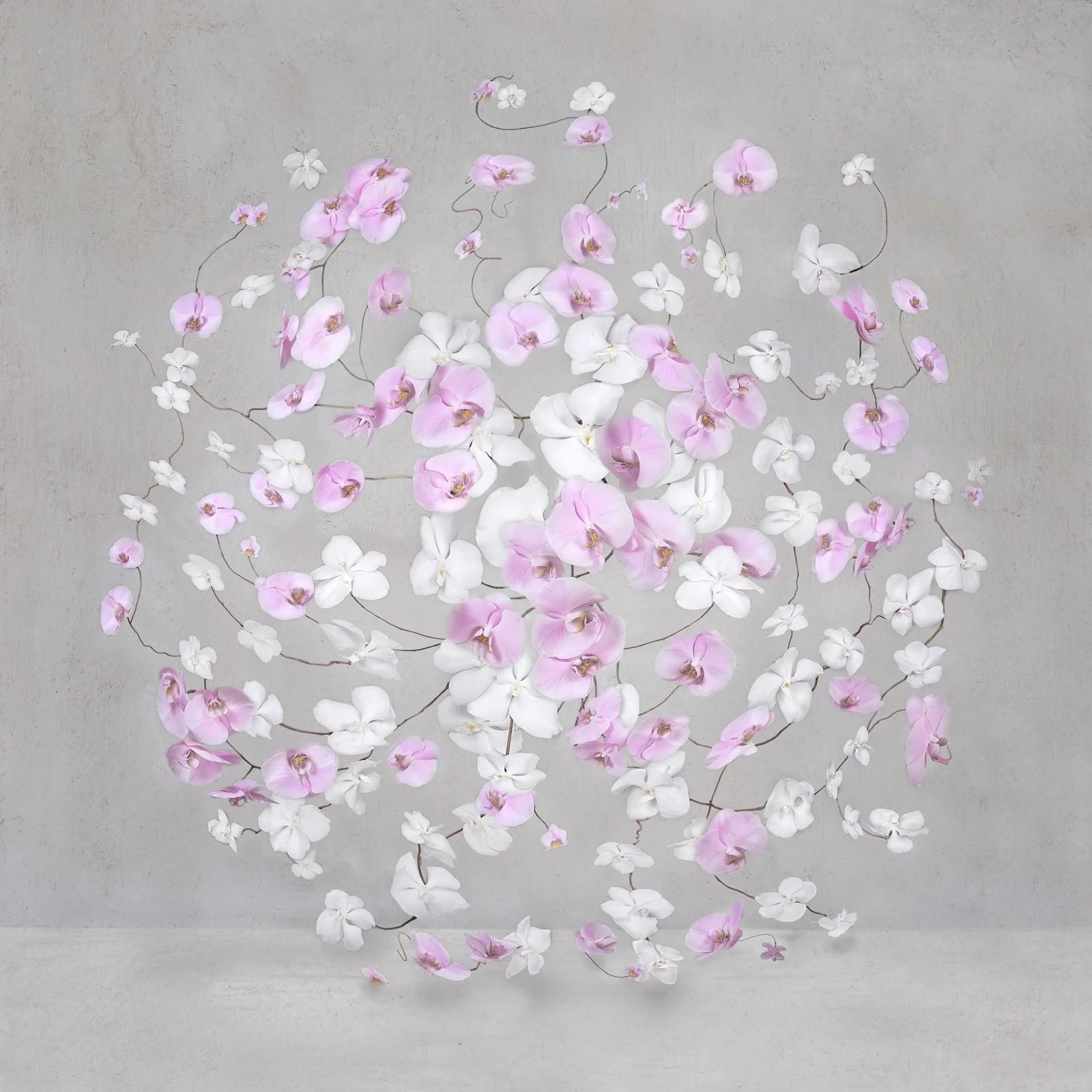 Serie: Fiori infiniti
Stampa Fine Art montata su un foglio di perspex dibond in una cornice bianca a vassoio

Taglie ed edizioni disponibili:
32" x 32", Edizione di 12
42" x 42", edizione di 8

Isabelle Van Zeijl è un'artista affermata a metà