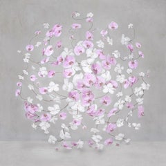 Isabelle Van Zeijl - Luz rosa infinita, Fotografía 2024, Impresión posterior