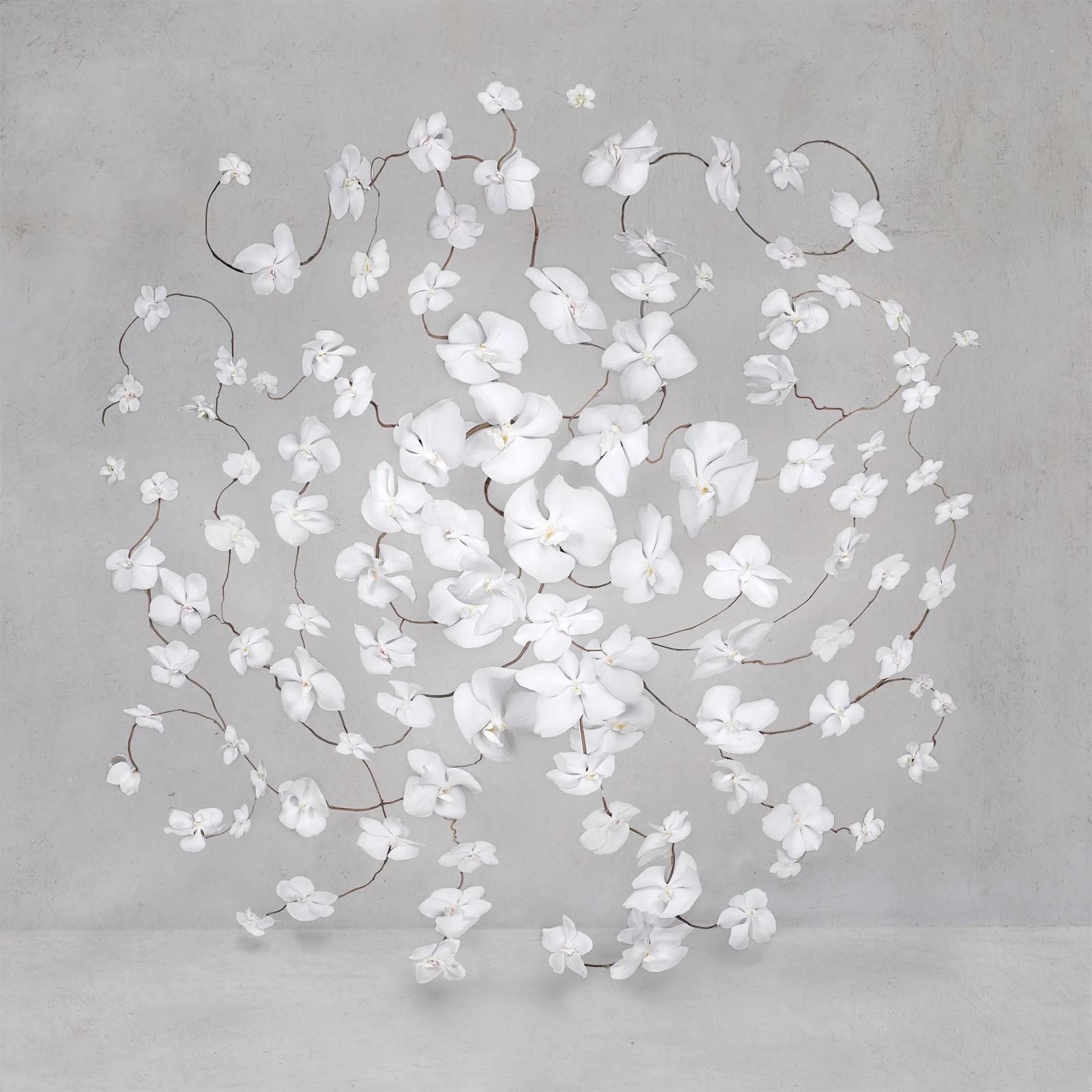 Isabelle Van Zeijl - Infinite White, Photography 2024, Printed After