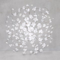 Isabelle Van Zeijl - Infinite White, Photography 2024, Printed After