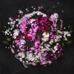Isabelle Van Zeijl - New Earth, Photography 2020, Printed After