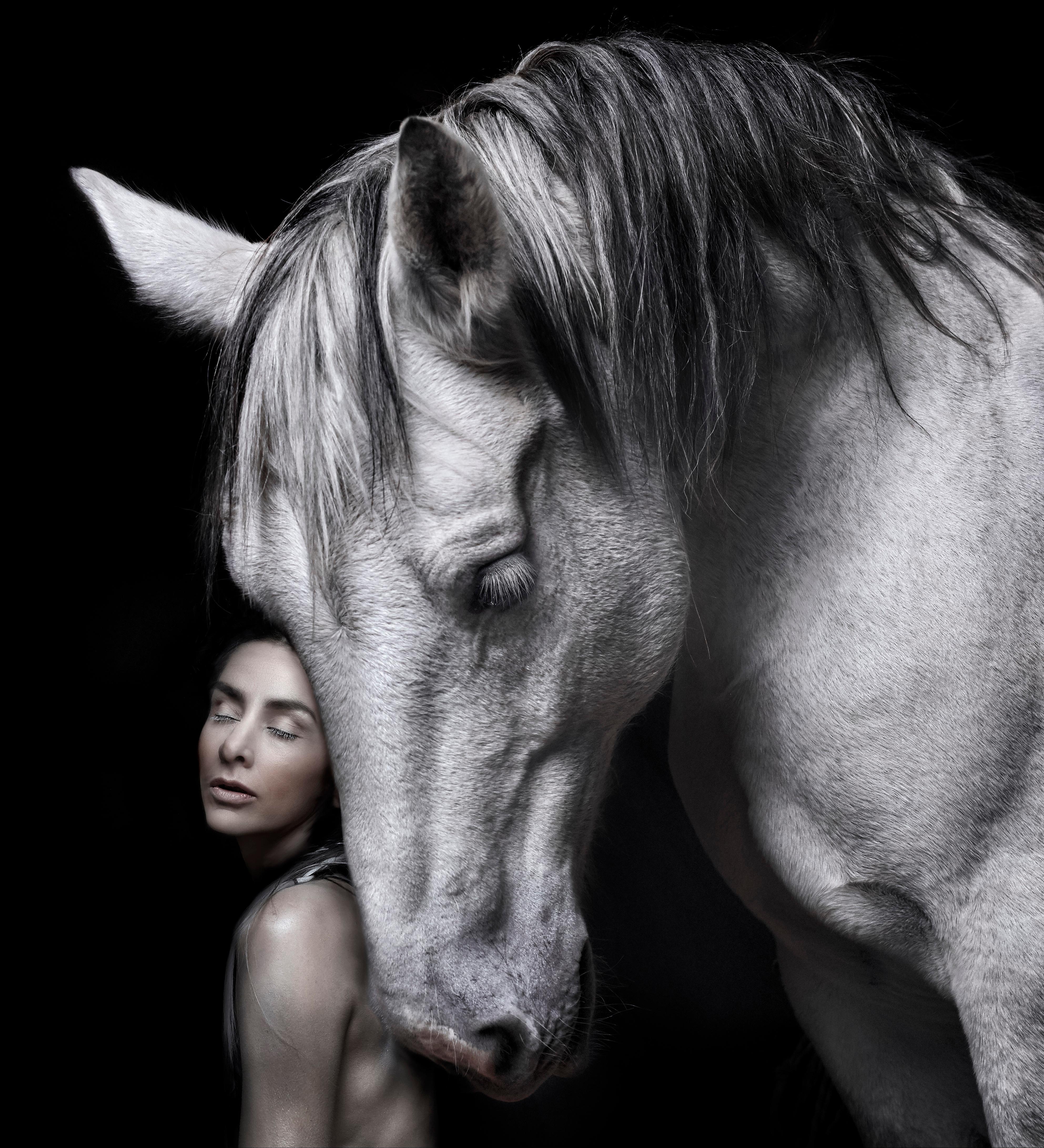 62.2 x 51.1 in, 6 + 2AP
44.5 x 31.5 in, 8 + 2AP

"THE MOONSHOT COLLECTION
Emerging from a long evolution stretching back nearly 50 million years comes the horse, a wild beauty, grazing peacefully on the plains, and then suddenly breaking free with