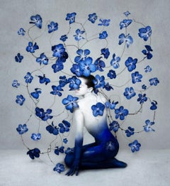 Isabelle Van Zeijl - RISE, photographie 2023, imprimée d'après