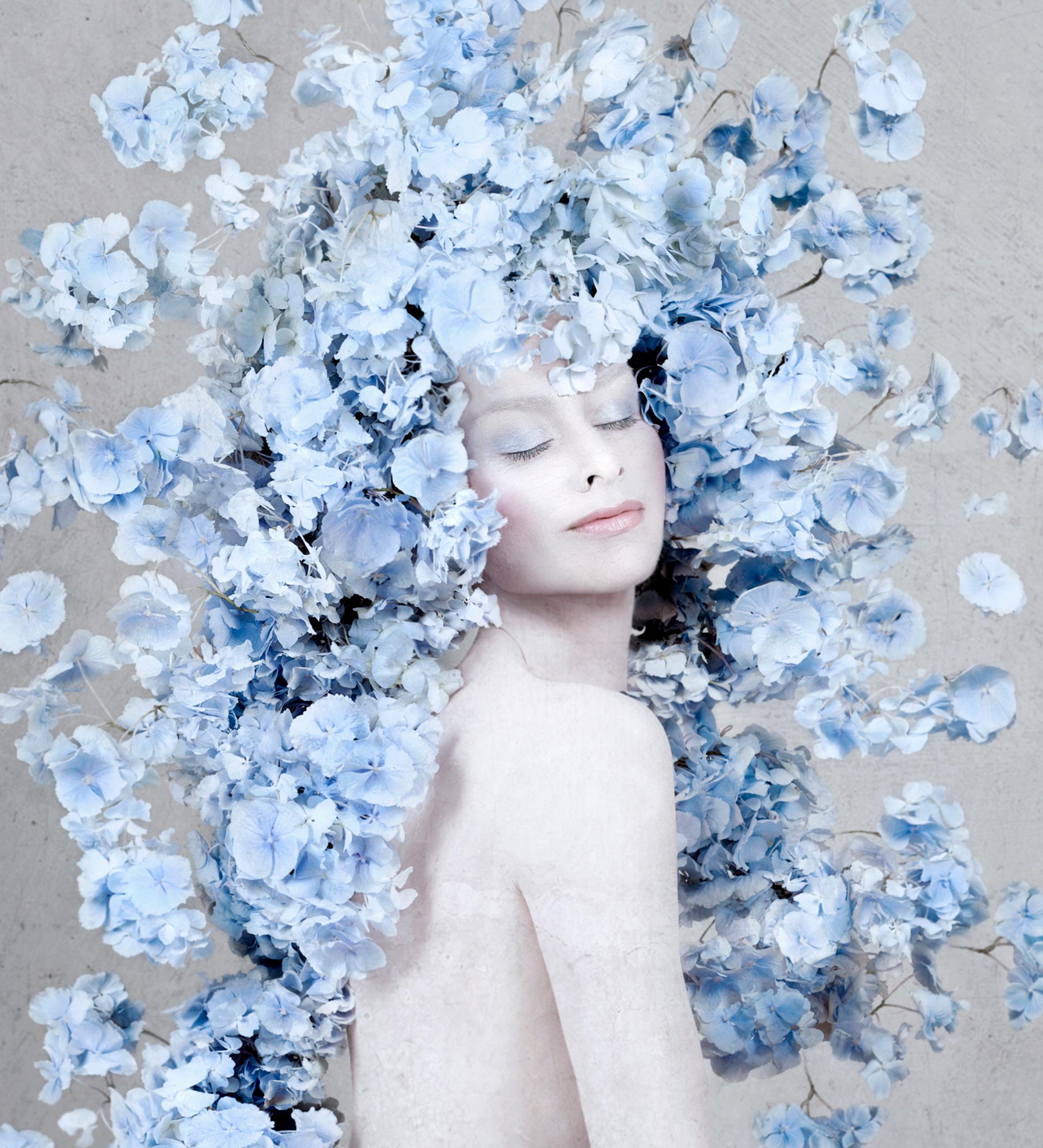 Série : Collection S : Hortensia
A.I.C. Montée sur face en plexiglas Dibond
Edition de 6 + 2 AP

"Dans mon travail, je suis fascinée par le fait de remodeler les formes existantes, de réinventer de nouvelles formes. Sous la surface de la forme en