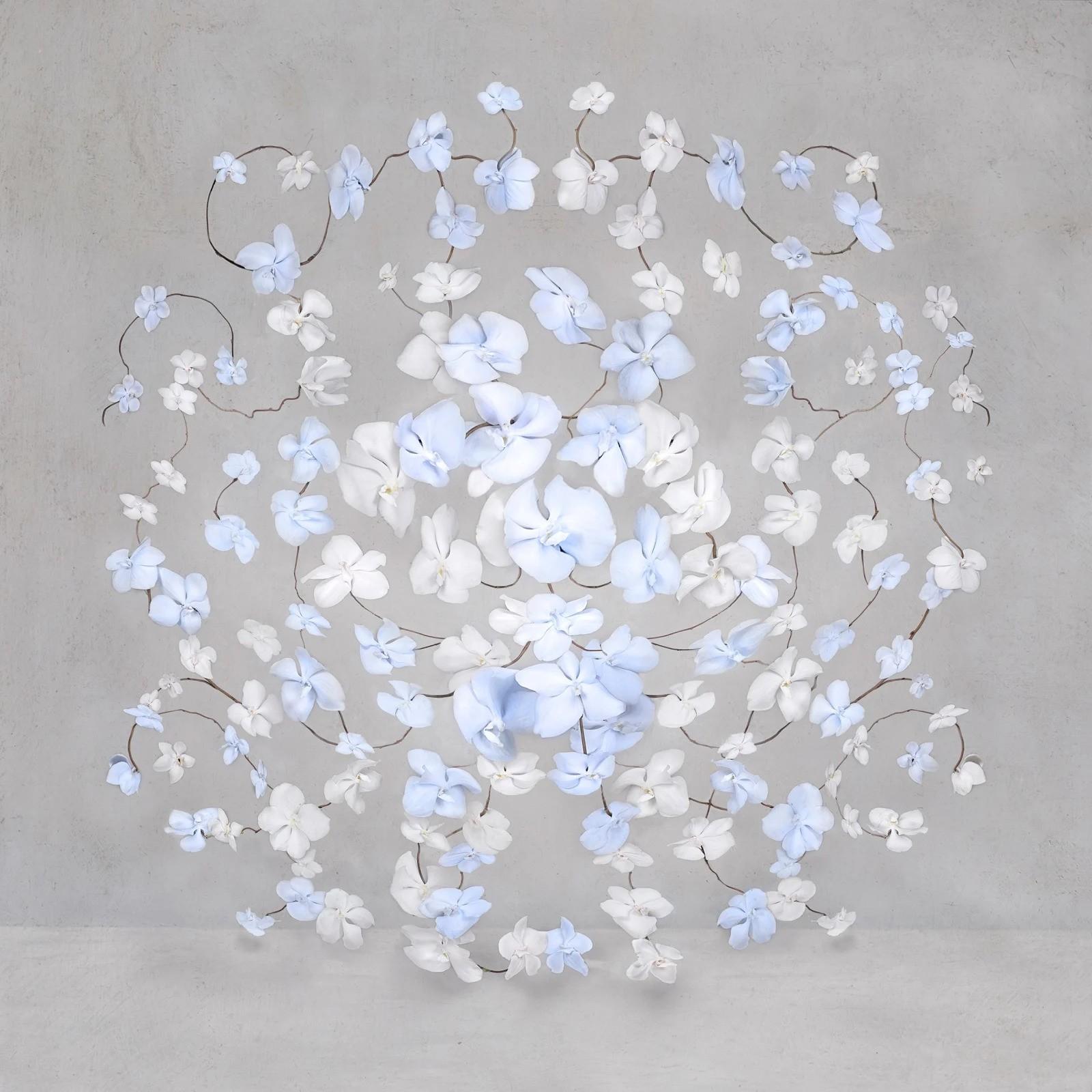 Serie: Flores infinitas
Impresión Fine Art montada sobre cara de perspex dibond en marco de bandeja blanco

Tamaños y ediciones disponibles:
32" x 32", Edición de 12
42" x 42", Edición de 8
Dado que este artículo se enviará directamente desde la