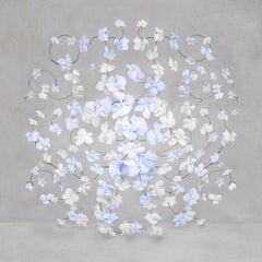 Isabelle Van Zeijl - Sky White, Photography 2024, Printed After