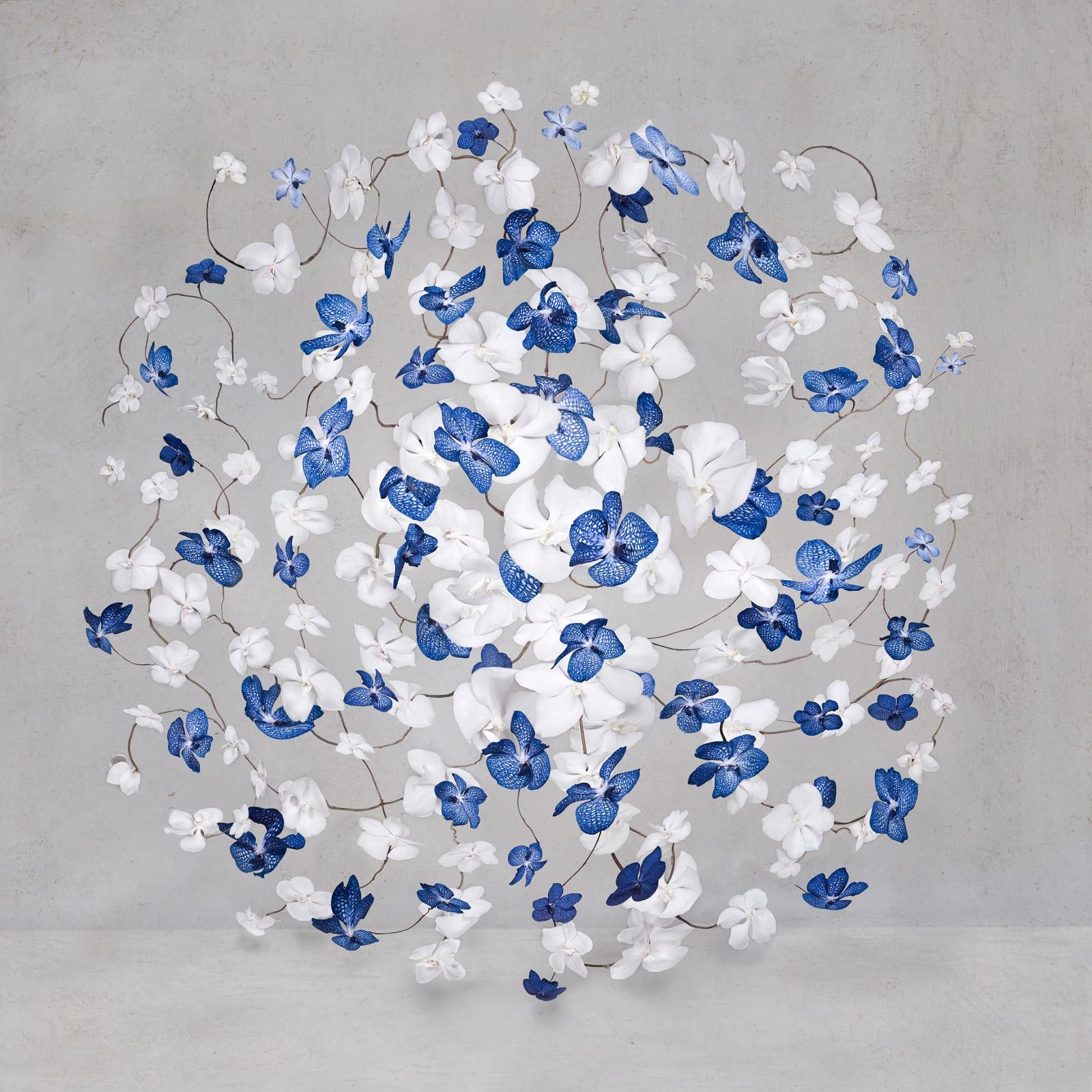 Serie: Tiefblau
C Druck auf Dibond-Plexiglasscheibe montiert
Auflage von 3

Blau wird mit der Ewigkeit, dem Jenseits, der übernatürlichen Schönheit und oft mit Transzendenz assoziiert. Blau hat keine Dimensionen, es geht über den Himmel und das Meer