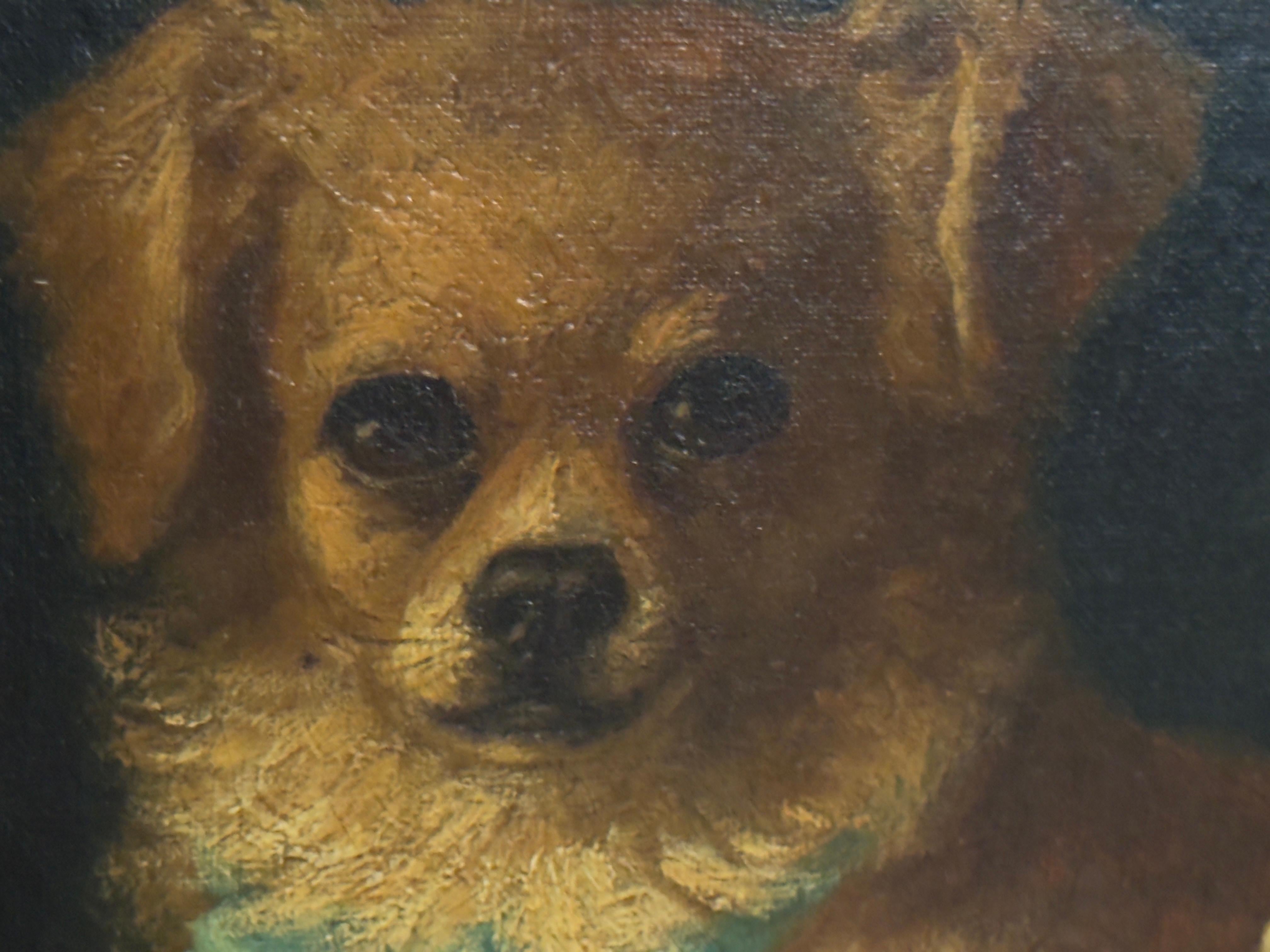Toy Spaniel pets with Blue Bows, 19th century oil on canvas im Angebot 1