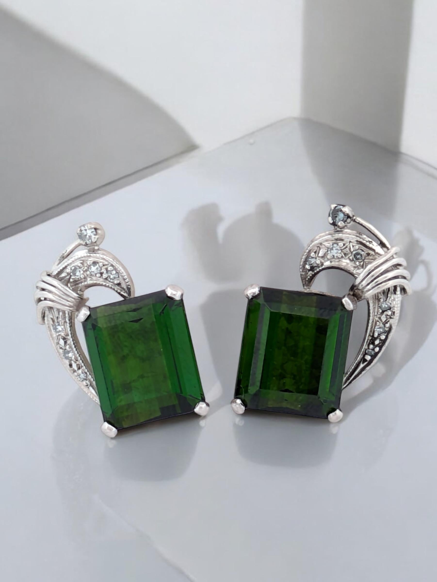 Entrez dans le glamour des années folles avec les boucles d'oreilles Isadora 1920 en platine, un mélange époustouflant d'élégance vintage et de design Art Deco. Ces boucles d'oreilles remarquables présentent des pierres précieuses en diopside chromé